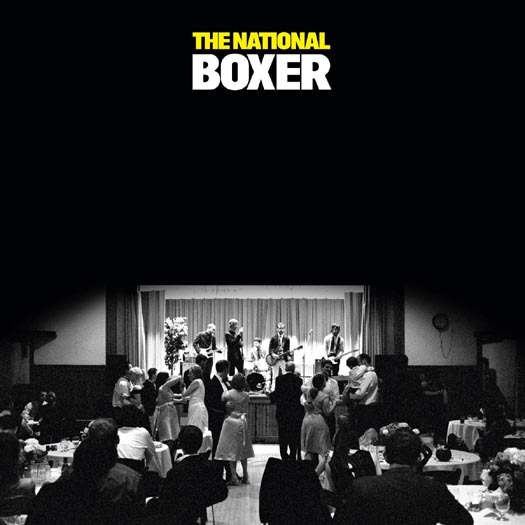 TheNational-Boxer